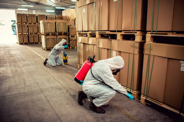 Best Pest Inspection Near Me  in Chleston, AR