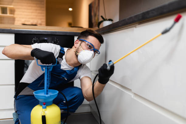 Best Local Pest Control Services  in Chleston, AR