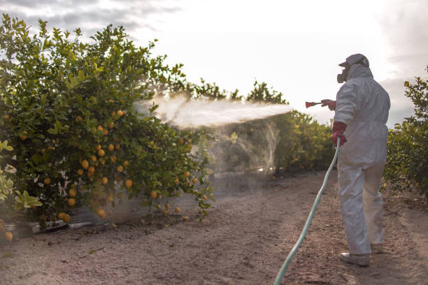 Best Rat Extermination Near Me  in Chleston, AR
