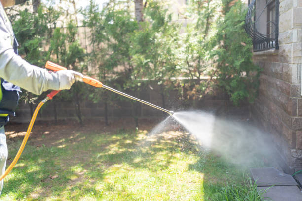 Best Exterminator Services  in Chleston, AR