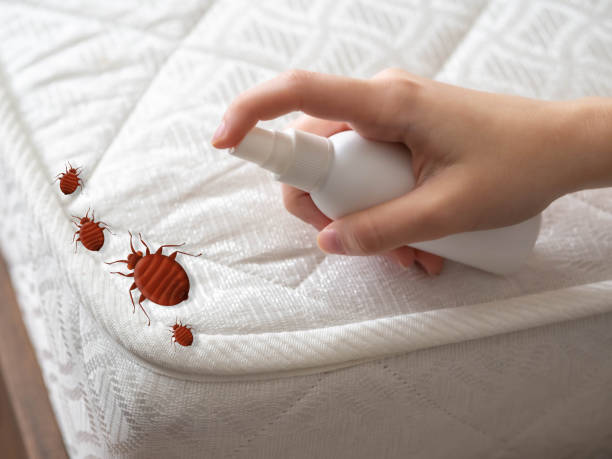 Best Mosquito Control Services  in Chleston, AR